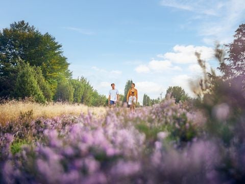 Center Parcs Bispinger Heide - Nedersaksen