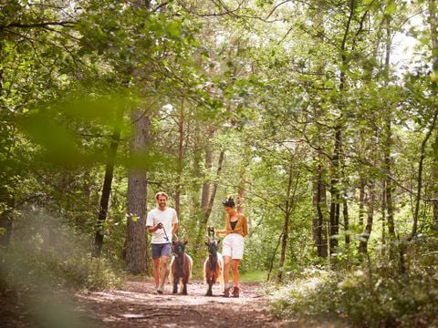 Center Parcs Bispinger Heide - Nedersaksen