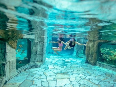 Center Parcs Het Heijderbos - Gennep - Afbeelding N°2