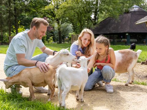 Center Parcs Het Heijderbos - Gennep - Afbeelding N°52