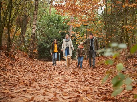 Center Parcs Het Heijderbos - Gennep - Afbeelding N°17