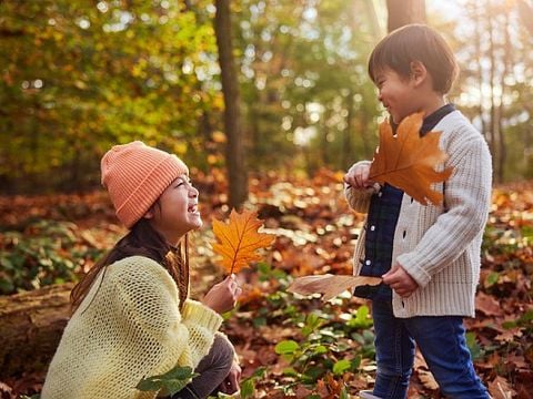 Center Parcs Het Heijderbos - Gennep
