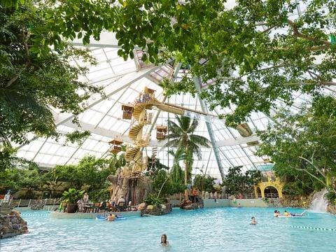 Center Parcs De Vossemeren - Camping Belgisch Limburg - Afbeelding N°2
