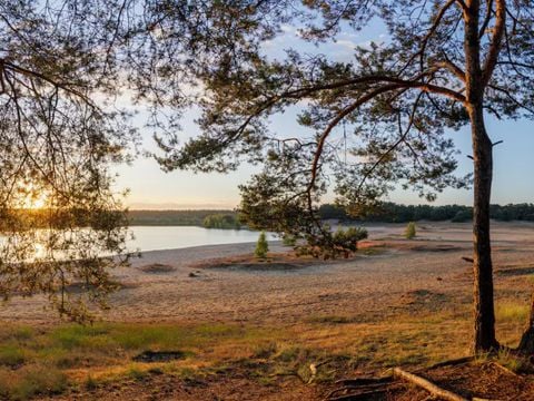 Center Parcs De Vossemeren - Belgisch Limburg - Afbeelding N°21