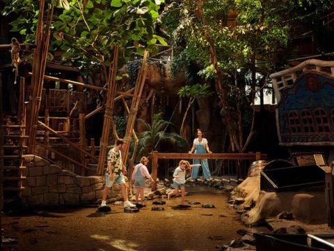 Center Parcs De Vossemeren - Camping Belgisch Limburg - Afbeelding N°3
