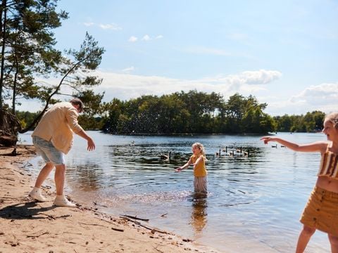 Center Parcs De Vossemeren - Camping Belgisch Limburg - Afbeelding N°3