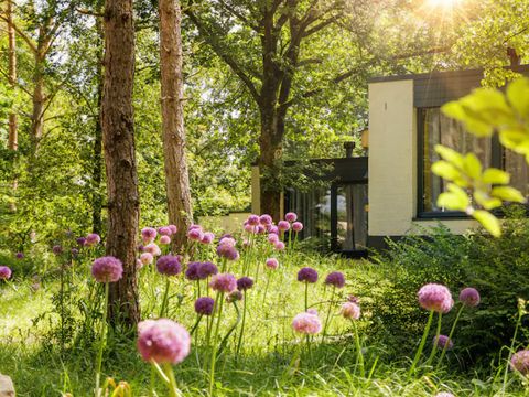 Center Parcs De Vossemeren - Belgisch Limburg - Afbeelding N°35