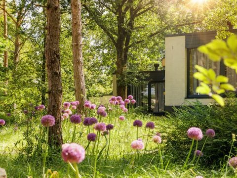 Center Parcs De Vossemeren - Belgisch Limburg - Afbeelding N°38