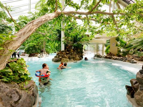 Center Parcs Park Erperheide - Belgisch Limburg - Afbeelding N°5