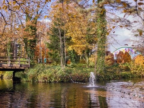 Center Parcs Park Erperheide - Belgisch Limburg - Afbeelding N°0