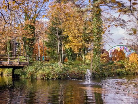 Center Parcs Park Erperheide - Belgisch Limburg - Afbeelding N°47