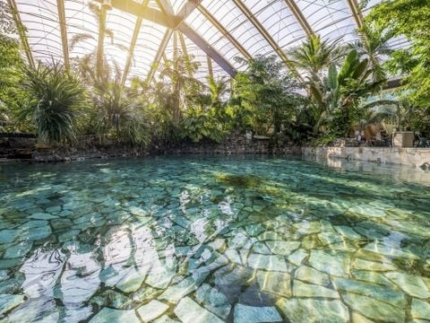 Center Parcs Park Erperheide - Belgisch Limburg - Afbeelding N°2