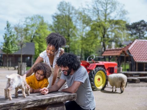 Center Parcs Park Erperheide - Belgisch Limburg - Afbeelding N°38