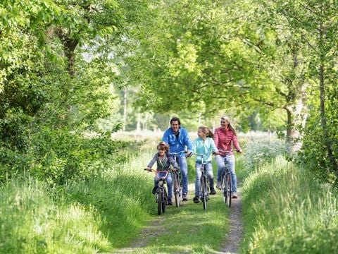 Center Parcs Park Erperheide - Belgisch Limburg