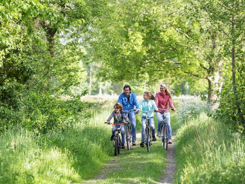 Center Parcs Park Erperheide - Belgisch Limburg - Afbeelding N°2