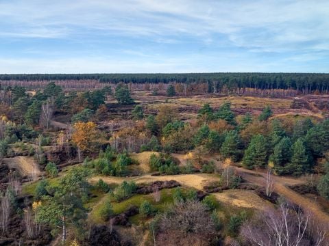 Center Parcs Park Erperheide - Belgisch Limburg - Afbeelding N°3
