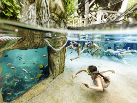 Center Parcs Park Erperheide - Camping Belgisch Limburg