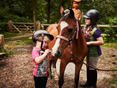 Center Parcs Park Erperheide - Belgisch Limburg - Afbeelding N°22