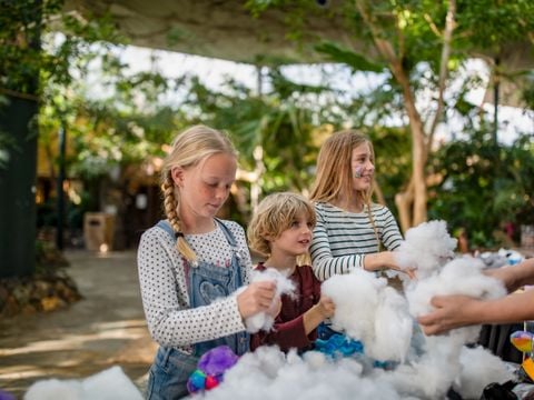 Center Parcs Park Erperheide - Belgisch Limburg - Afbeelding N°4