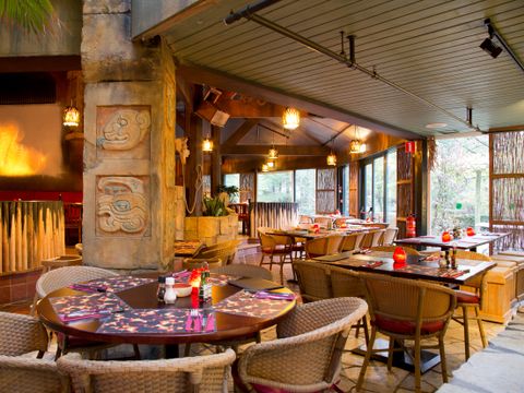 Center Parcs Park Erperheide - Belgisch Limburg - Afbeelding N°3