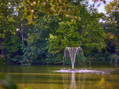 Center Parcs Park Erperheide - Belgisch Limburg - Afbeelding N°48