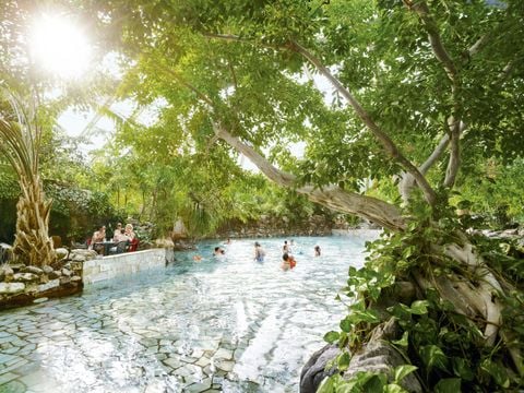 Center Parcs Park Erperheide - Camping Belgisch Limburg - Afbeelding N°4