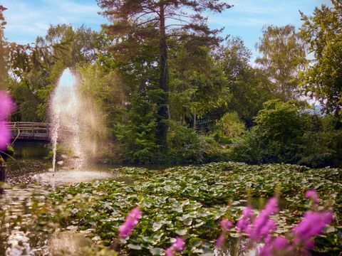 Center Parcs Park Erperheide - Belgisch Limburg - Afbeelding N°45