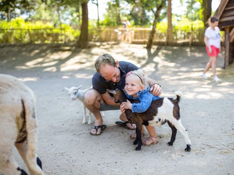 Center Parcs Park Erperheide - Belgisch Limburg - Afbeelding N°32