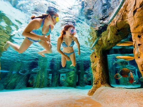 Center Parcs Park Erperheide - Camping Belgisch Limburg - Afbeelding N°3