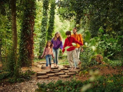 Center Parcs Park Erperheide - Belgisch Limburg - Afbeelding N°3