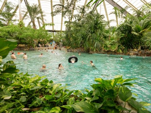 Center Parcs Park Erperheide - Belgisch Limburg - Afbeelding N°4