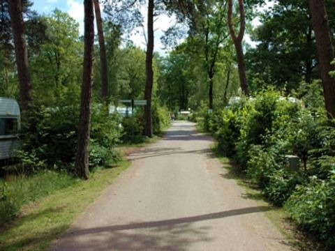Buitencentrum Hessenheem - Hof van Twente - Afbeelding N°10