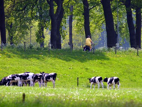 Buitenplaats Gerner - Dalfsen - Afbeelding N°21