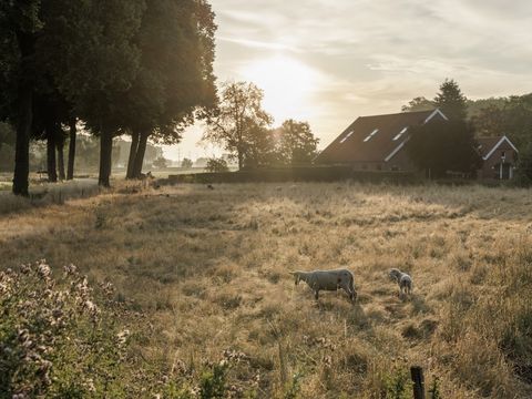 Vakantiepark De Twee Bruggen - Winterswijk - Afbeelding N°48