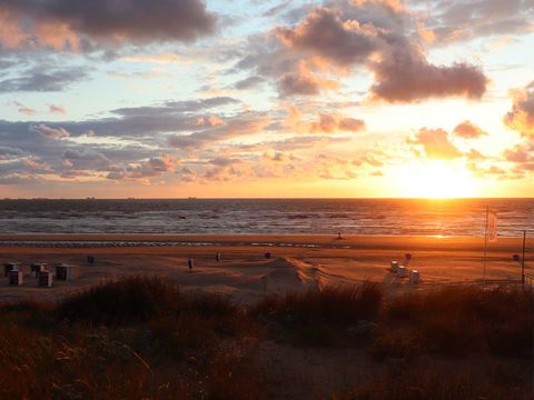Molecaten Park Noordduinen - Katwijk aan Zee - Afbeelding N°30