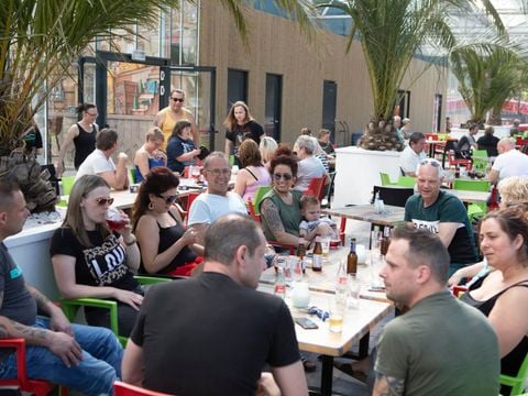 Oostappen park Blauwe Meer - Camping Belgisch Limburg
