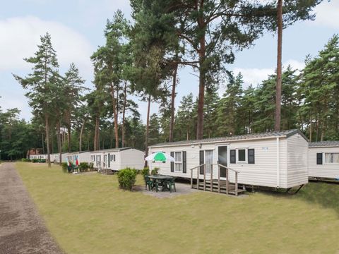 Oostappen park Blauwe Meer - Camping Belgisch Limburg