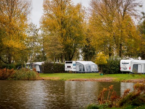 Vakantiepark Eiland van Maurik - Buren - Afbeelding N°54