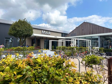 Vakantiepark Eiland van Maurik - Buren - Afbeelding N°39
