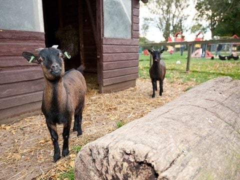 Vakantiepark Het Grootslag - Hollands Kroon