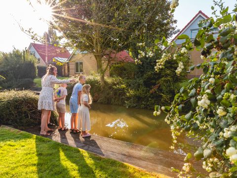 Vakantiepark IJsselhof - Camping Hollands Kroon - Afbeelding N°4