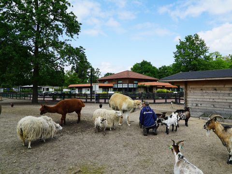 EuroParcs Limburg - Echt-Susteren - Afbeelding N°23
