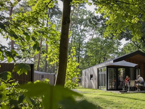 Roompot Bospark 't Wolfsven - Camping Geldrop Mierlo - Afbeelding N°0