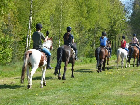 Vakantiepark De Lourenshoeve - Twenterand - Afbeelding N°18