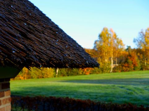 Vakantiepark De Lourenshoeve - Twenterand - Afbeelding N°16