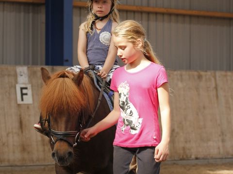 Vakantiepark De Lourenshoeve - Twenterand - Afbeelding N°17