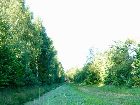 Vakantiepark De Lourenshoeve - Twenterand - Afbeelding N°22