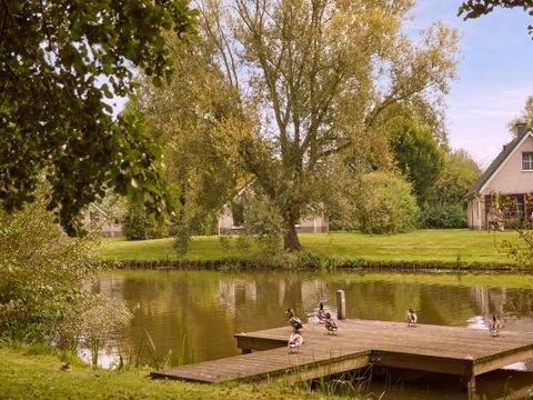Center Parcs Parc Sandur - Emmen - Afbeelding N°62