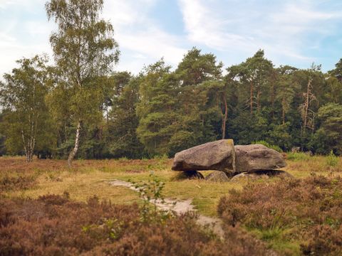 Center Parcs Parc Sandur - Emmen - Afbeelding N°29