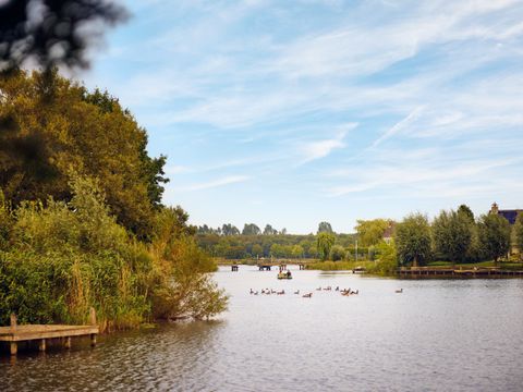 Center Parcs Parc Sandur - Emmen - Afbeelding N°33